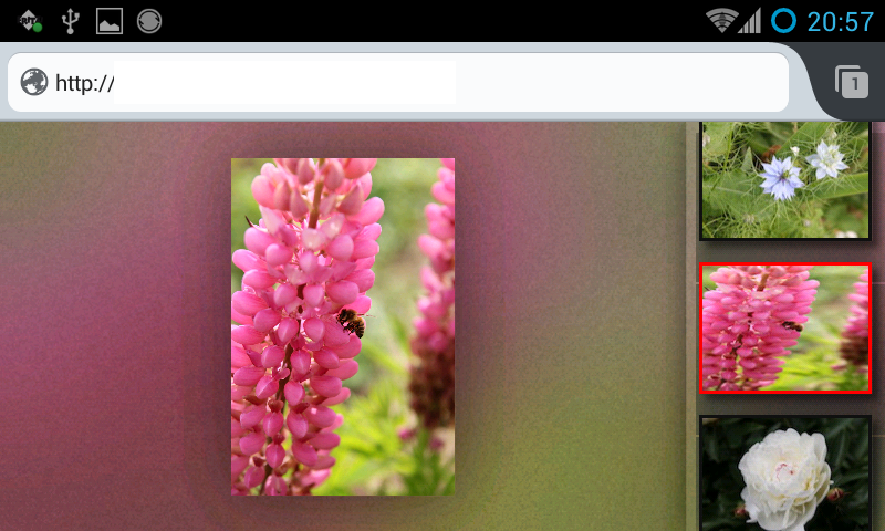 fgallery Screenshot horizontal