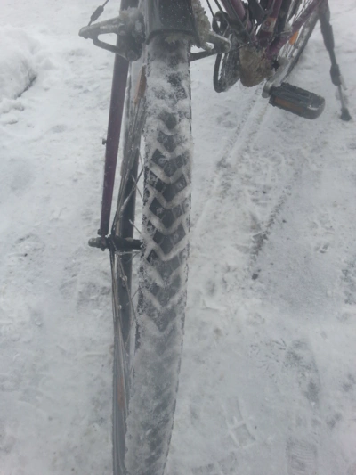 Vorderrad mit Schwalbe Marathon Winter Plus Mantel.