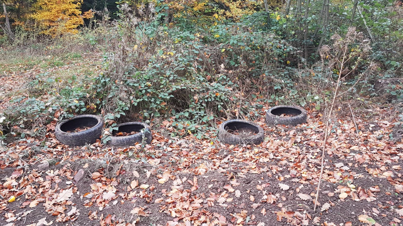 Vier Autoreifen liegen im Wald.