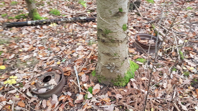 Zwei Autofelgen liegen auf dem Waldboden.