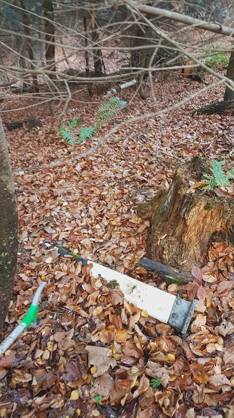 Auf dem Waldboden liegt ein teilweise vergrabener Leitpfosten.