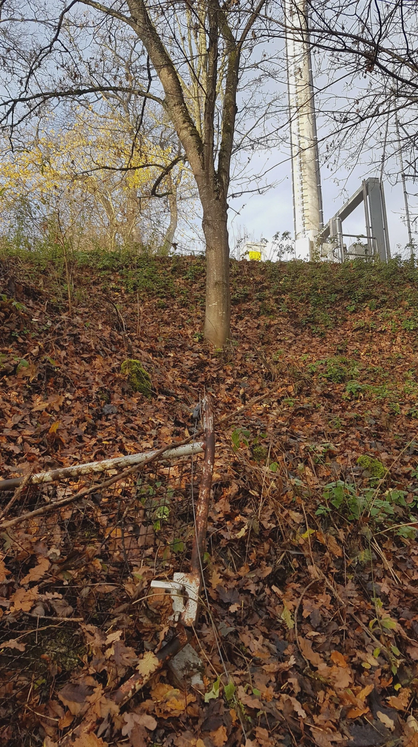Teil eines Gartentores liegt am Hang im Wald.
