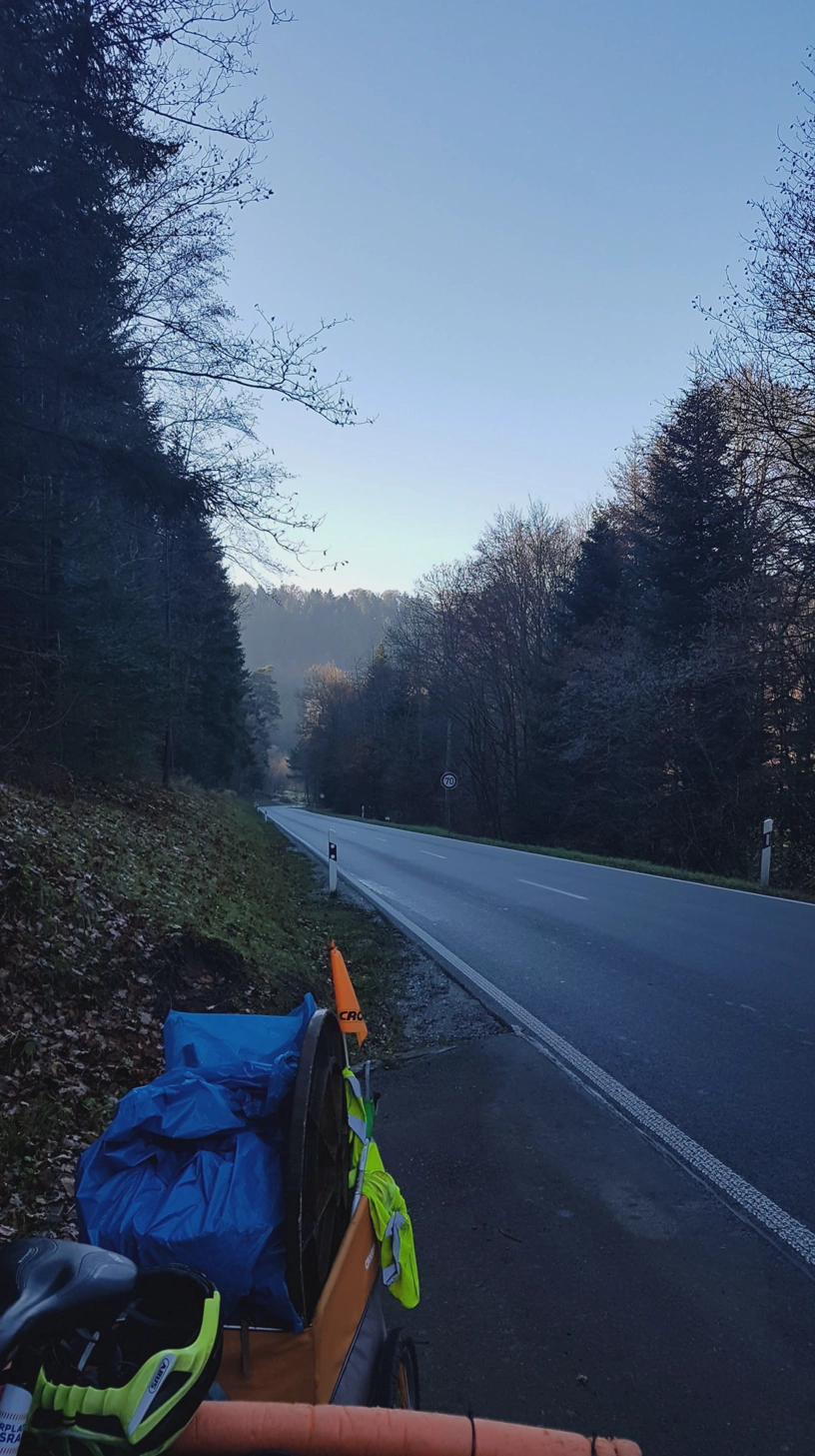 Links der Fahrradanhänger und nach hinten verläuft die Landstraße durch den Wald.