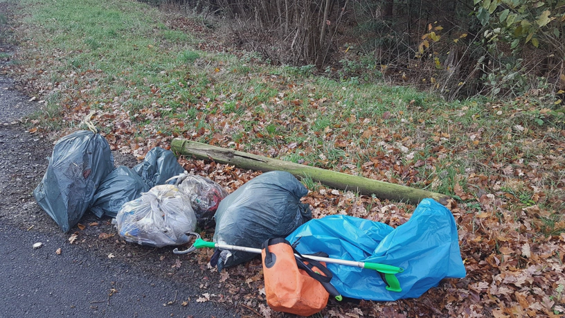 Mehrere Müllsäcke liegen am Waldrand und sind aufgereiht.