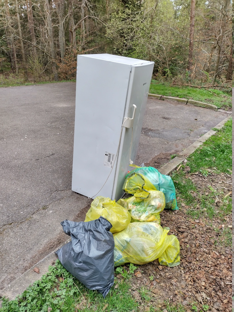 Kühlschrank auf einem Waldparkplatz