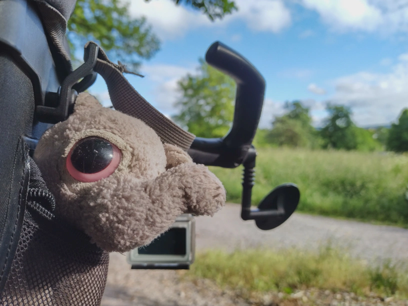Der kleine Elefant in der Seitentasche der Lenkertasche und schaut in die Kamera. Dahinter zu sehen der Fahrradlenker und dahinter Teil eines Weges, eine Wiese und blauer Himmel mit Wolken.