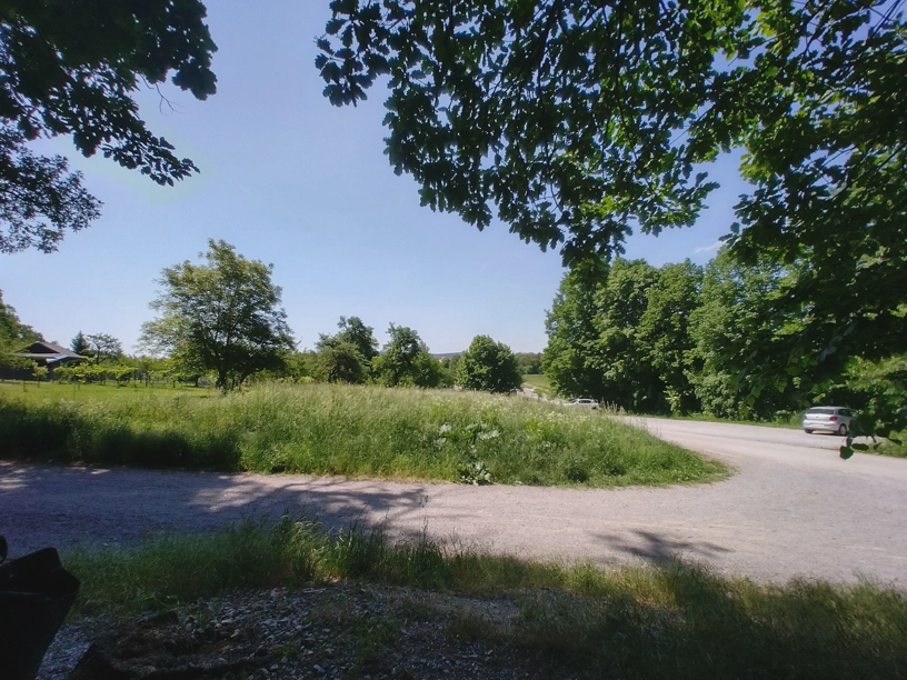 Foto von der Pausenbank aus auf eine schöne Wiese mit hohem Gras. Rechts ein Parkplatz mit einem Fahrzeug drauf. Drum herum viele Bäume.