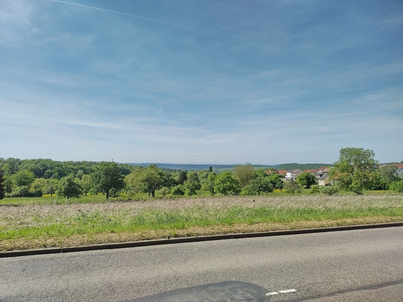 Landschaft bei Birkenfeld, Wiese mit Bäumen, blauer Himmel und am Horizont ist die Bergkette leicht erkennbar.