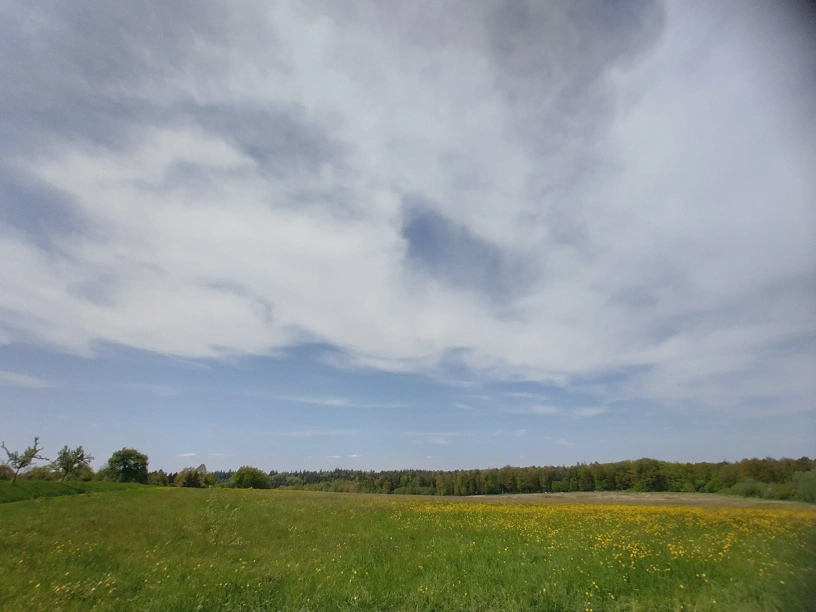 Weite Landschaft mit Wiesen und am Horizont ein Wald. Dazu blauer Himmel mit Wolken.