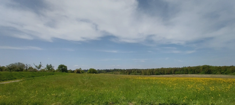 Weite Landschaft mit Wiesen und am Horizont ein Wald. Dazu blauer Himmel mit Wolken.