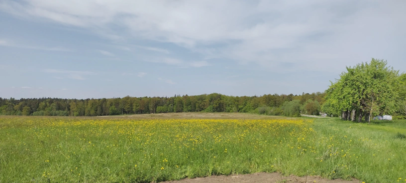 Weite Landschaft mit Wiesen und am Horizont ein Wald. Dazu blauer Himmel mit Wolken.