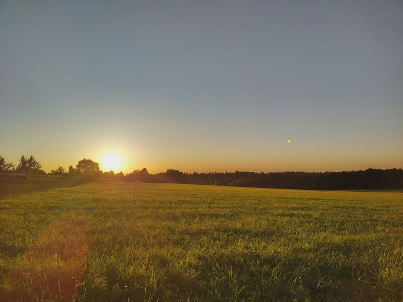 Sonnenuntergang. Landschaft Wiese und am Horizont Wälder.