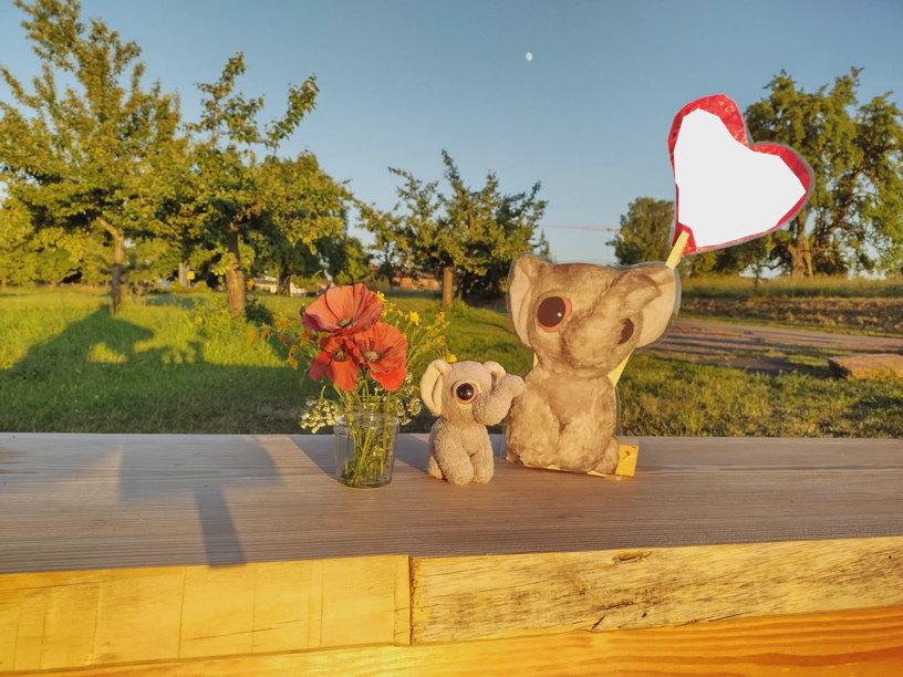 Alles auf dem Sitzbrett des Hohenwarter Fotorahmens. Links ein Glas mit Blümchen drin. In der Mitte der kleine Elefant, rechts davon der große kleine Elefant (Ausdruck eines Fotos des kleinen Elefanten und auf einem Holzrahmen befestigt und ein Herz haltend.