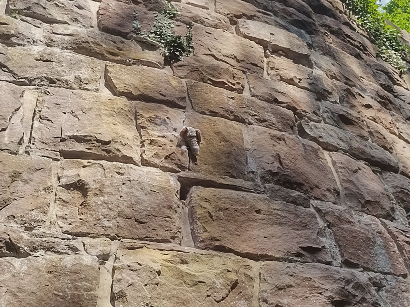 Plüschelefant hängt auf halber Höhe in der Steinwand – als Zoom.