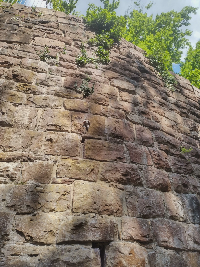 Plüschelefant hängt auf halber Höhe in der Steinwand.