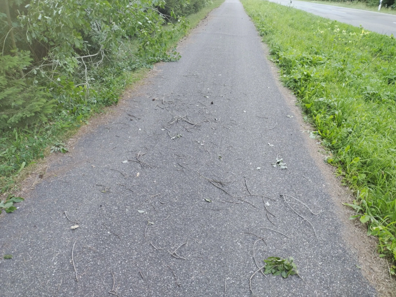 Fahrbahn mit Restholz drauf.