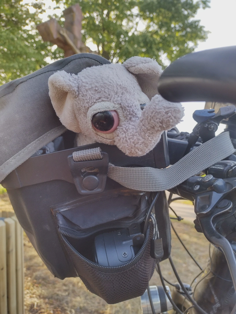 Lenkertasche, oben schaut Kagube raus, an der Seite in der Seitentasche sitzt die Hupe.