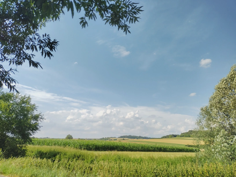 Links und rechts Bäume. Dazwischen Sicht auf Felder und einen blauen Himmel mit Wolken.