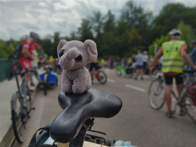 Der kleine Elefant sitzt auf dem Fahrradsattel, im Hintergrund unscharf die Demomenschen.