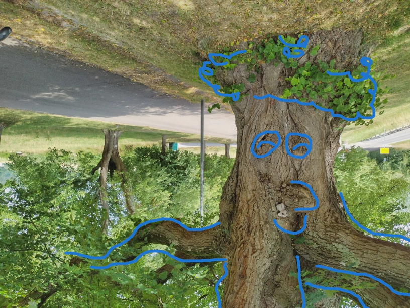 Ein Baum und der kleine Elefant hängt mitten drin an der Rinde.