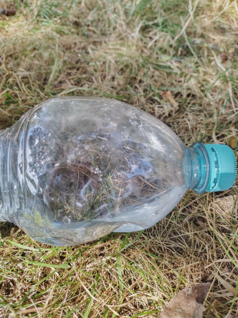 Hier war das leckere, kühle Wasser drin. Wasserflasche auf dem Boden liegend.