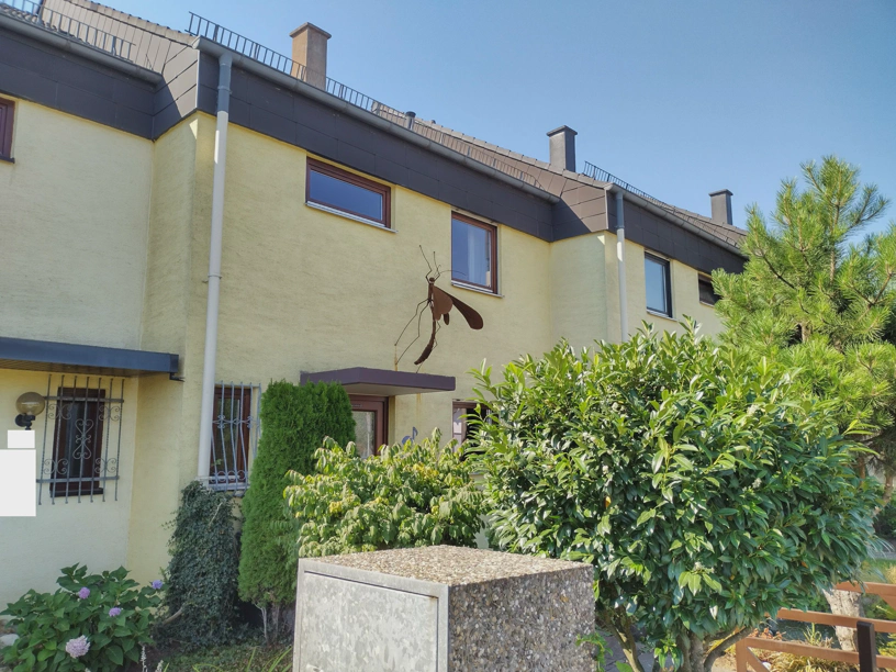 Circa 1,2 m hohes und 0,8 m breites Insekt aus Metall hängt an einer Hauswand.