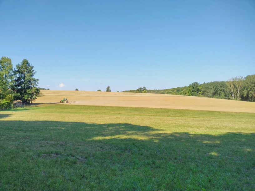Grüne Wiese im Vordergrund, gelbbrauner Acker im Hintergrund mit einem Traktor drauf, der von einem nicht erkennbaren Fahrer geführt wird, da viel zu weit weg.