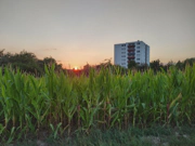 cover.webp