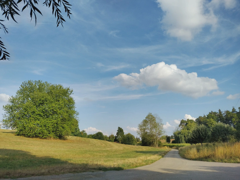 Weg und Landschaft und Bäume. Blauer Himmel und Wolken.