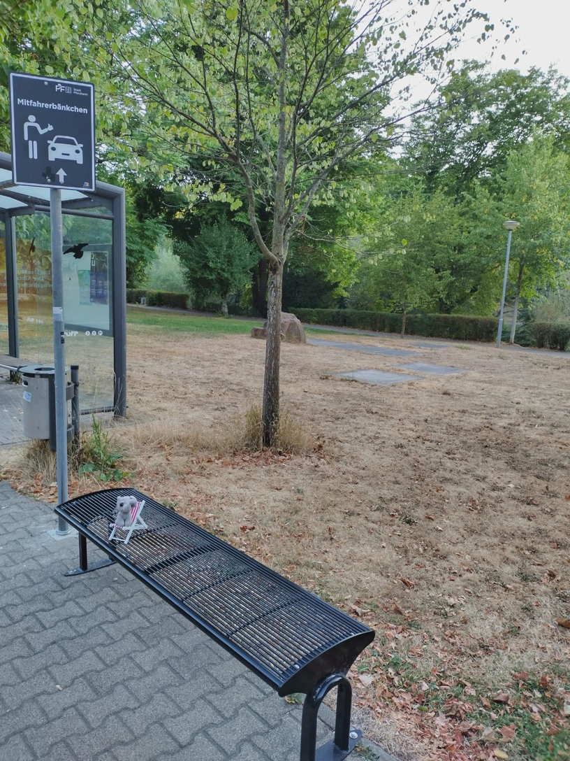 Links ein Schild mit dem Text Mitfahrbänkchen, rechts daneben eine Sitzbank.