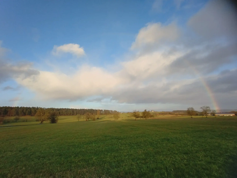 Ganzer Regenbogen auf Landschaft mit Wiesen und Wäldern.