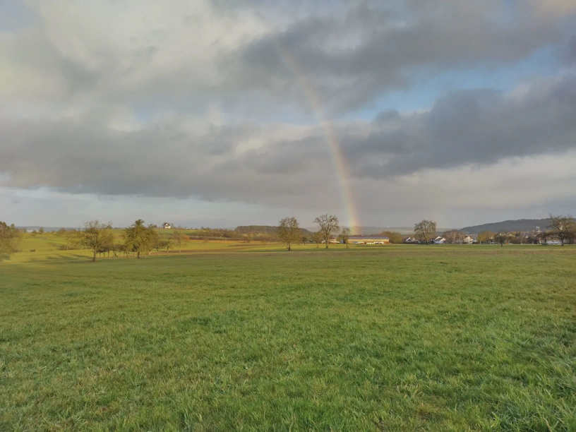 Teil des Regenbogens auf Landschaft mit Wiesen und Wäldern.