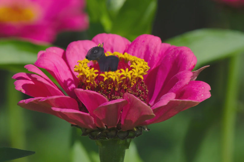 Foto einer Blüte, darin in der Blüte steht ein Dingsdings, was auch immer es ist. Sieht aus wie ein Pferdchen oder so.