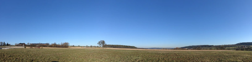 Landschaftspanorama mit blauem, wolkenlosen Himmel und grünen Feldern, hier und da Baumreihen. Hügelige Landschaft. Einzelne Häuser zwischendrin.