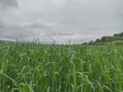 2023-05-12-landschaft-cover.webp