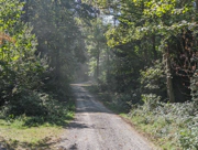 2023-09-11-buechenbronn-cover.webp