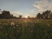 2023-09-15-sonnenuntergang-3-cover.webp