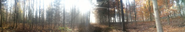 2015-11-01_waldfahrt_3_panorama