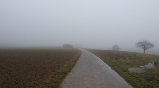 Snap 042 – Nebel