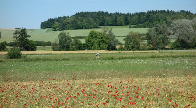 Ein paar Fotos von einer Radtour mit schönem Ausblick