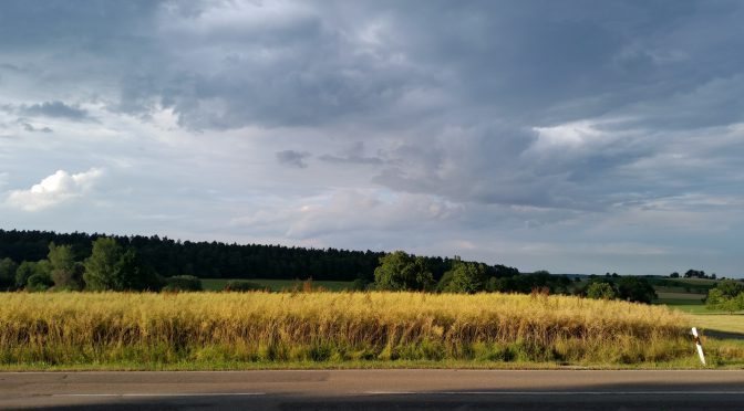 Snap 072 – Sonne auf Feld