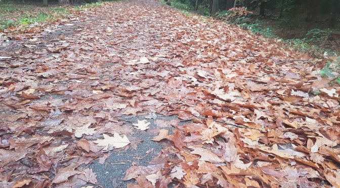 Ein benutzungspflichtiger Radweg…