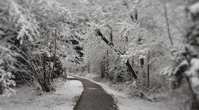 Wieso Fahrradfahren auch im Winter schön ist – auch und vor allem außerhalb der Stadt