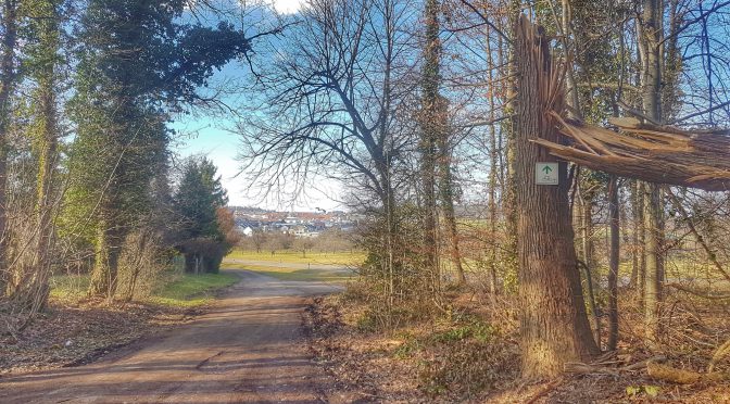 Snap 125 – Frühling und Wald