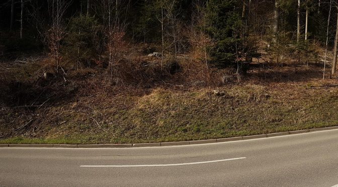 Panorama: Von Höfen an der Enz nach Langenbrand