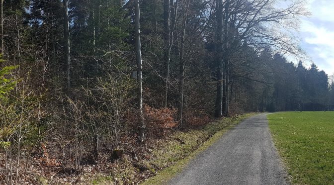 Panorama: Schwann bei Pforzheim