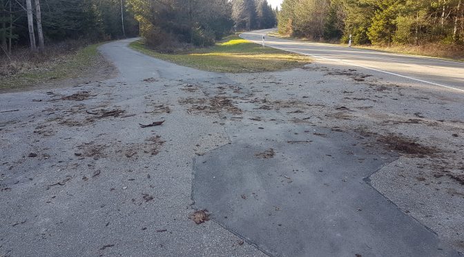 Einmal benutzungspflichtigen Radweg fegen bitte…