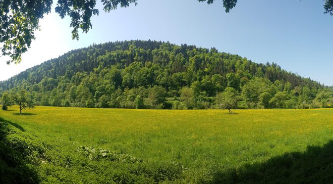 Vier kleine Panoramen aus Pforzheim und Umgebung der letzten Tage (4)