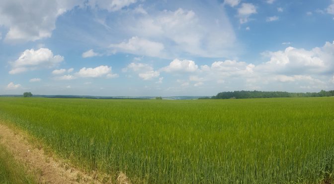 Ein paar schöne Fotos von meiner Rückfahrt nach der Radsternfahrt Stuttgart