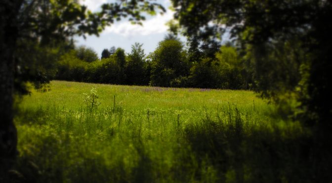 Nur ein schönes Foto mit Unschärfeeffekt